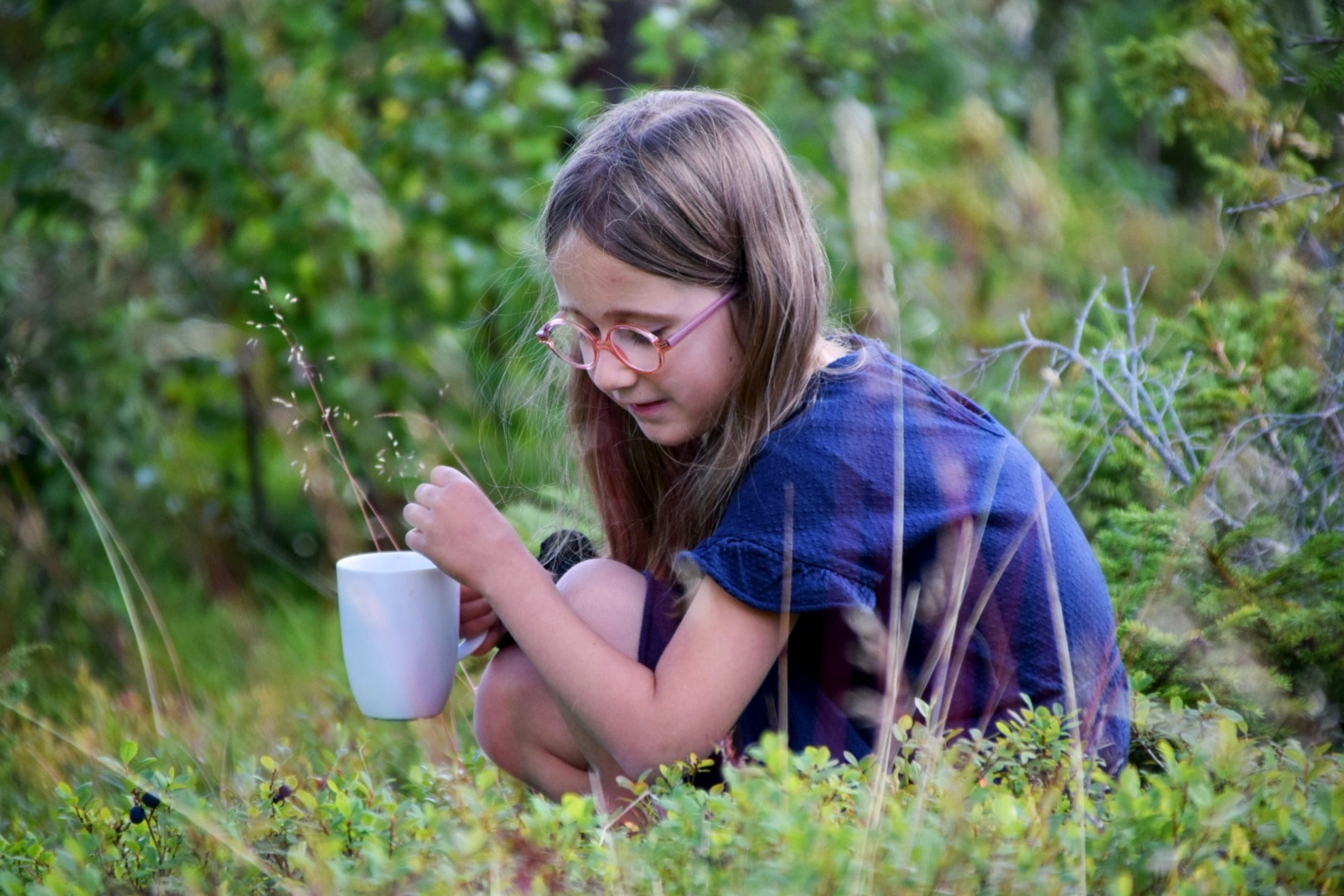 Wildplukken in Zweden