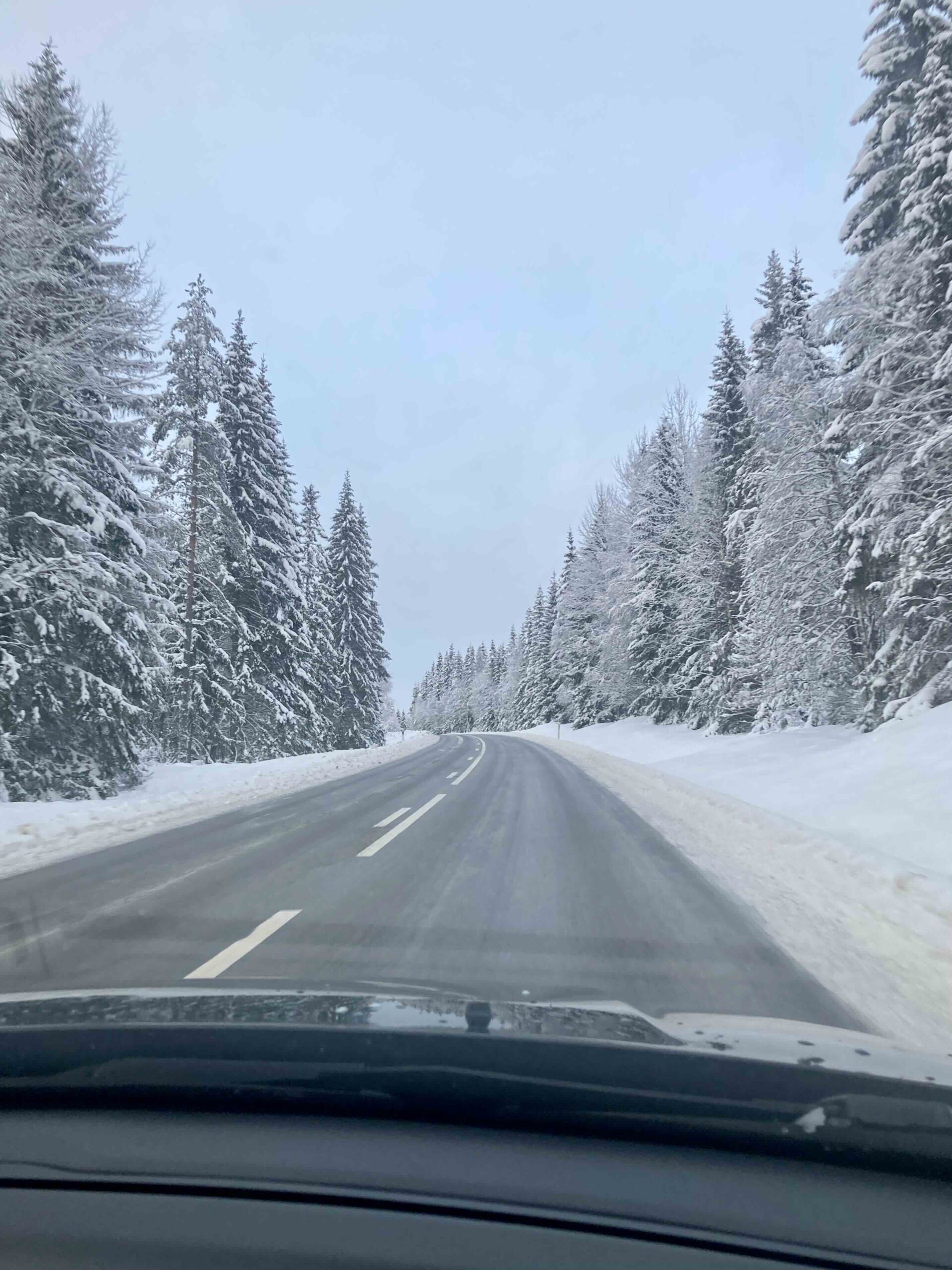 autorijden in zweden in de winter