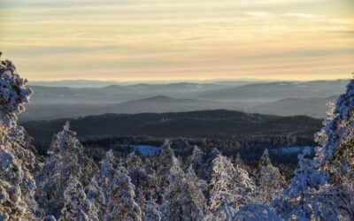 Autorijden in Zweden in de winter;  dit moet je weten