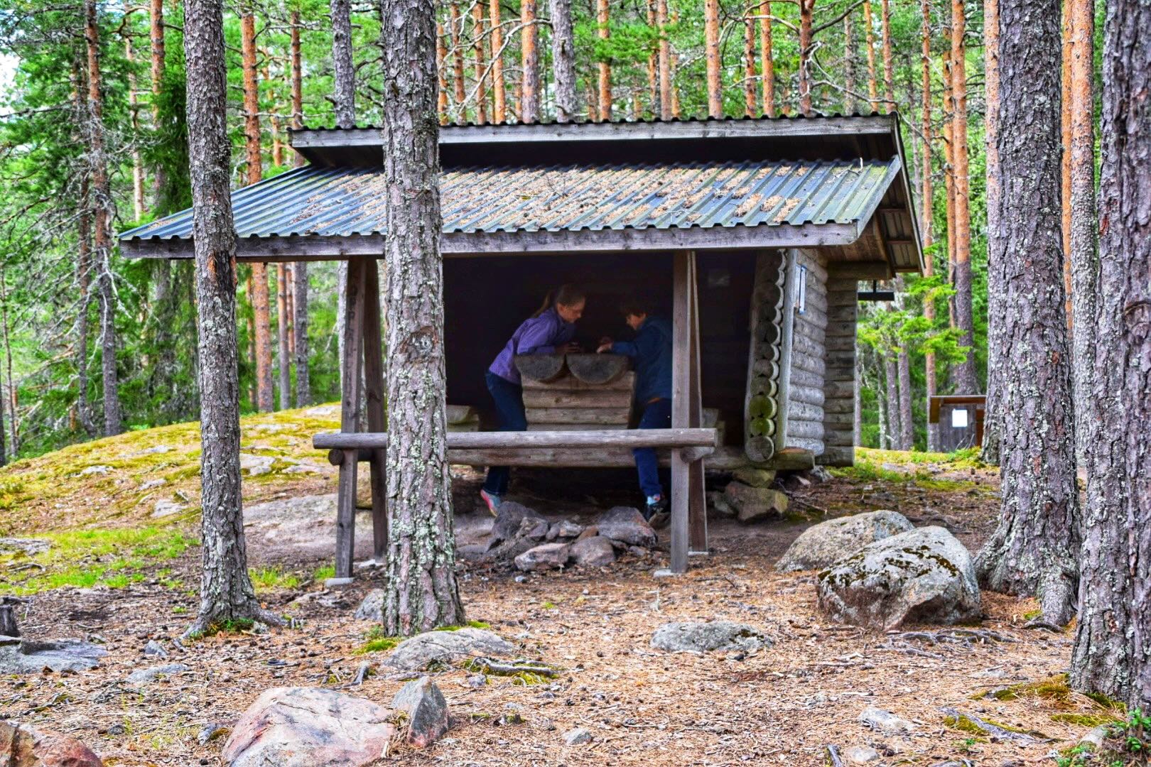 Is zweden goed voor je gezondheid?