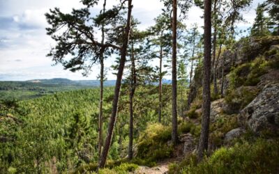 Is Zweden goed voor je gezondheid?