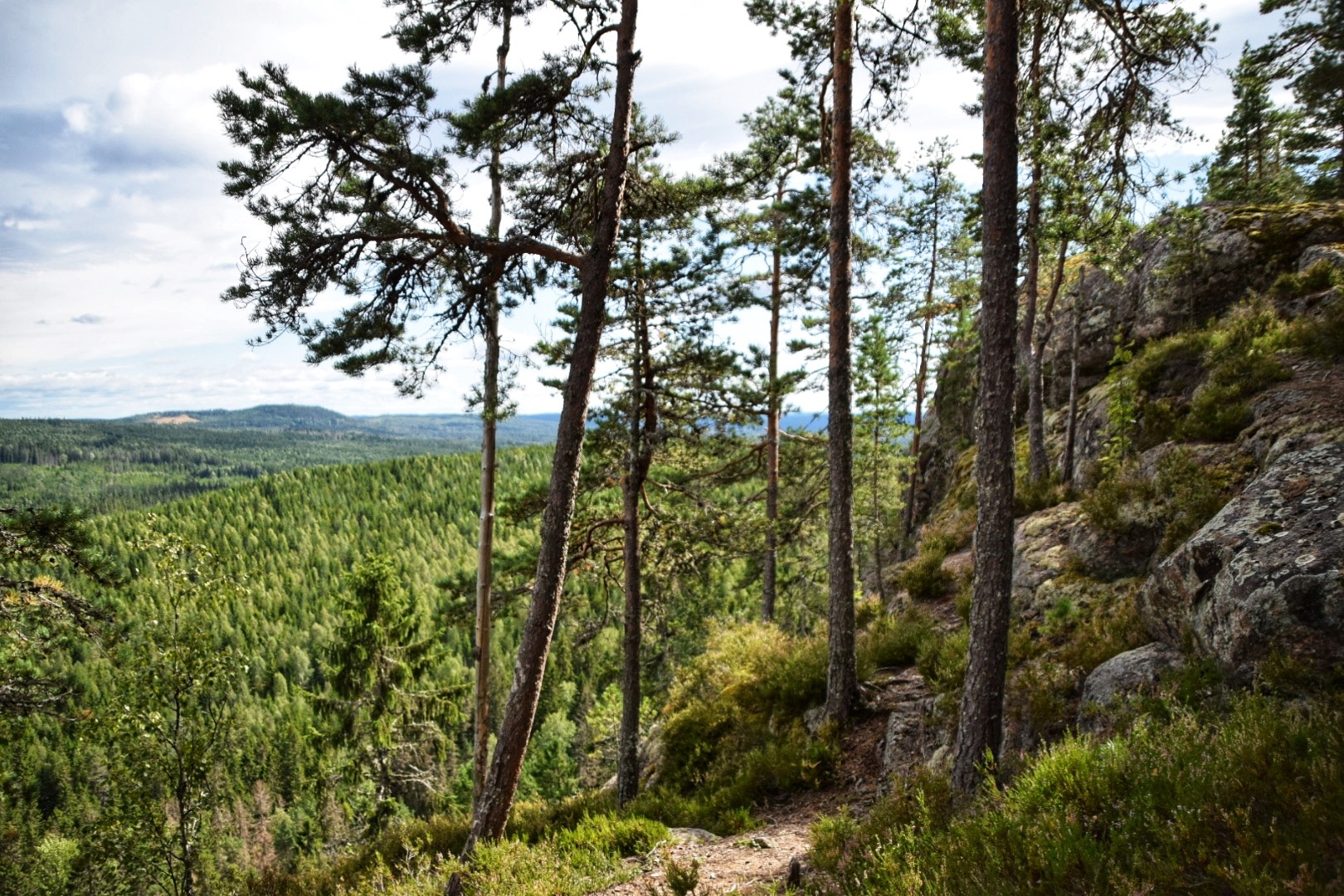 Is Zweden goed voor de gezondheid?
