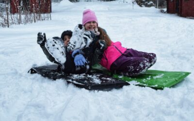 Slee kopen? Laat je inspireren door de Zweedse manier van sleeën