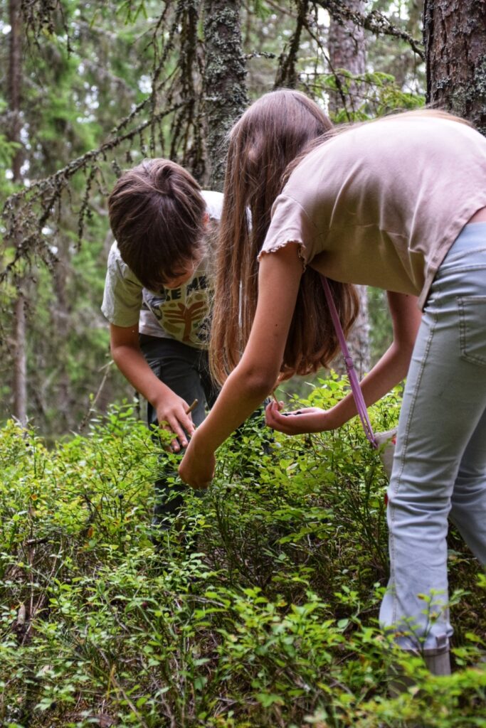 Wildplukken in Zweden met kinderen