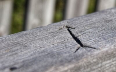 De emigratieclichés: de overeenkomsten van de mensen die emigreren naar het buitenland