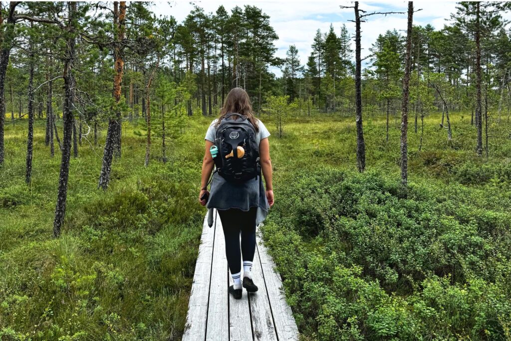 Langeafstandswandelingen in zweden