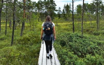 Vijf mooie langeafstandswandelingen in zweden