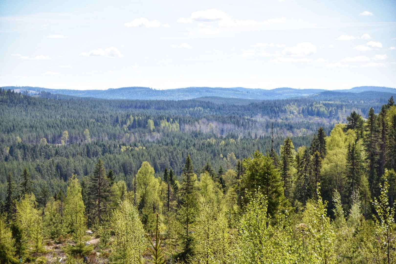 Zweden zomervakantie Zomervakantie Zweden