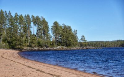 De zomer in Zweden gaat beginnen
