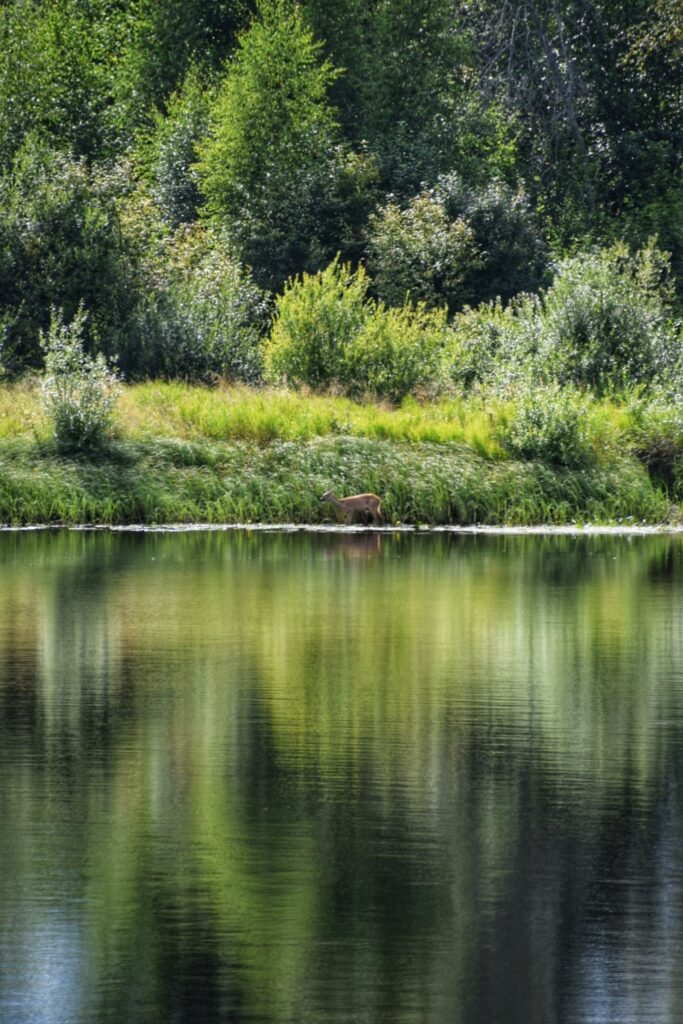 camping Zweden