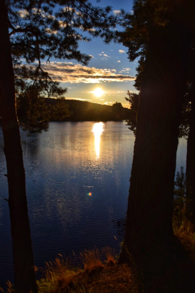 Campings Zweden