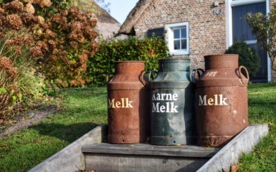 Hoe is het om Nederland weer te bezoek?