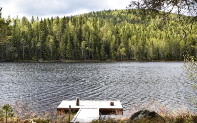 De 10 leukste activiteiten voor een zomervakantie in Zweden