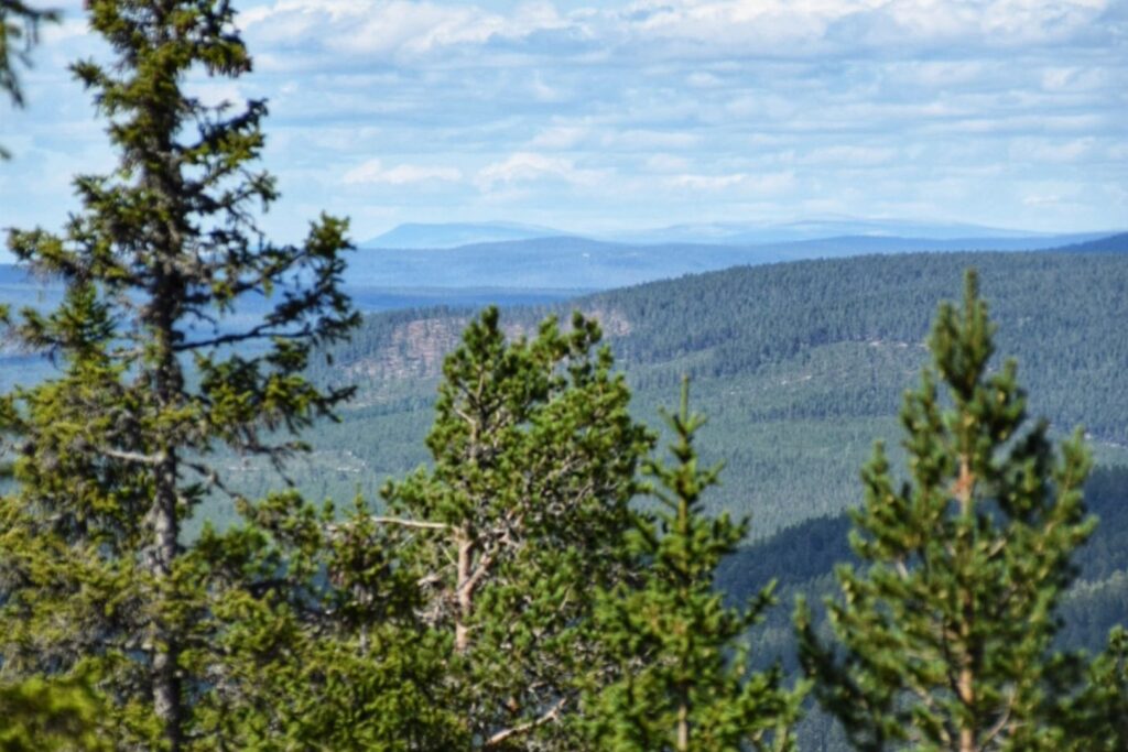 Dalarna Zomer