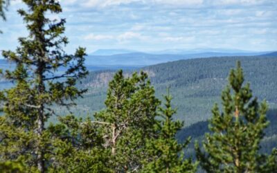 8 redenen om de skigebieden van Dalarna ook in de zomer te bezoeken