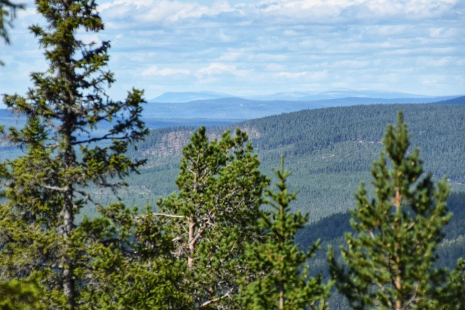 Dalarna Zomer Dalarna Zomer