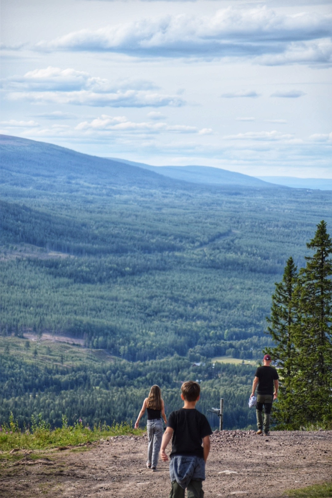 zomer Dalarna