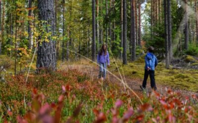Buitenspelen in Zweden: drie leuke herfstactiviteiten voor kinderen