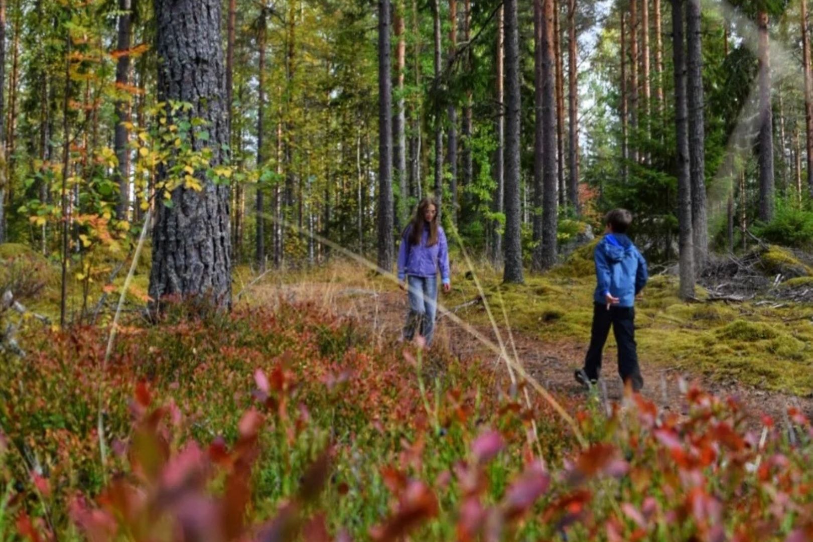 Buitenspelen in Zweden Buitenspelen in Zweden