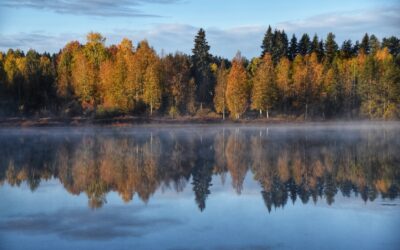 De 10 leukste activiteiten voor een herfstvakantie in Zweden