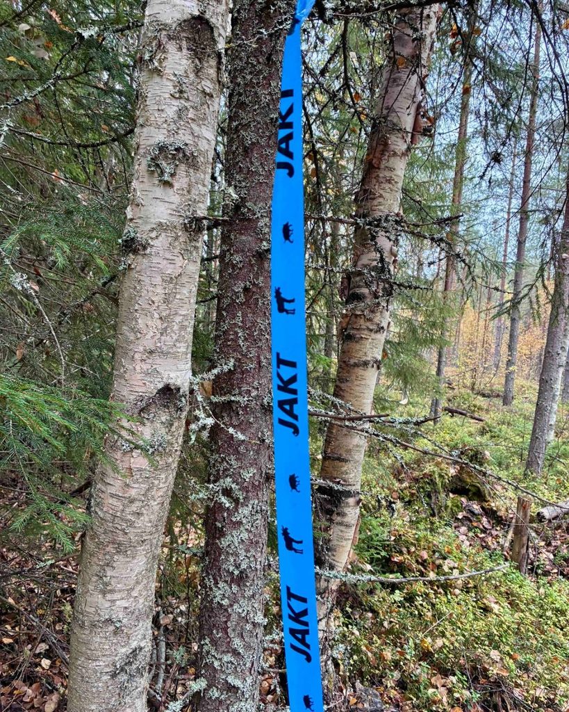 Elandenjacht in Zweden